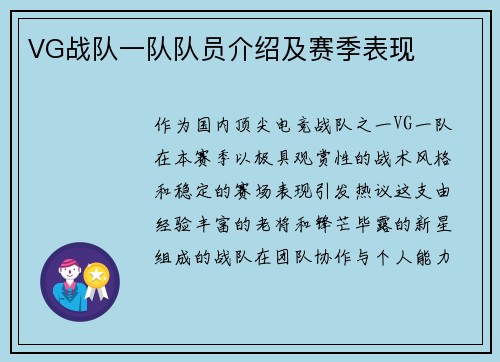 VG战队一队队员介绍及赛季表现